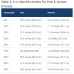 14 Inch Arms Size Percentiles
