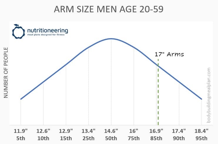 17 Inch Arms Men