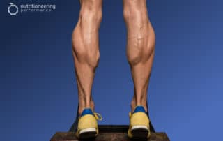 17 Inch Calves