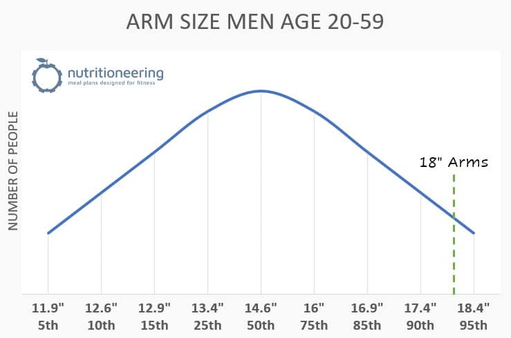 18 Inch Arms Percentiles Men