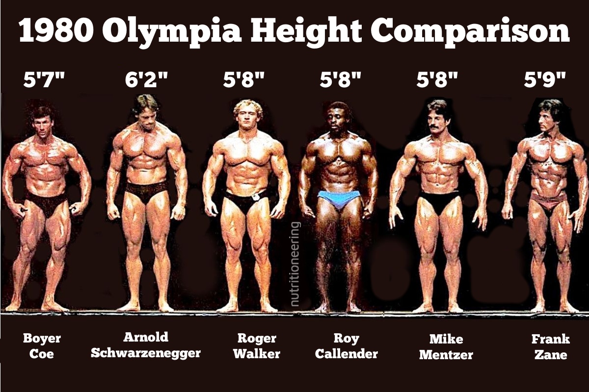 1980 Mr Olympia Height Comparison