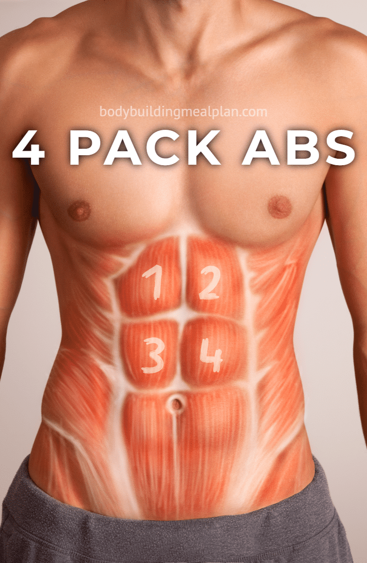 4 Pack Abs Vs 6 8 10 Pack Men Women Genetics Body Fat Percentage
