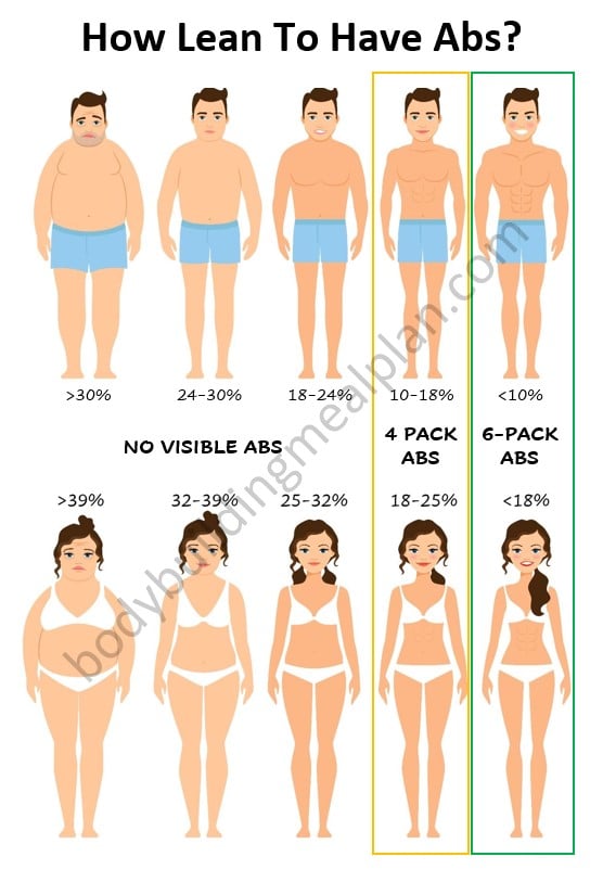4 Pack Abs vs 6 Pack Abs Body Fat Percentage