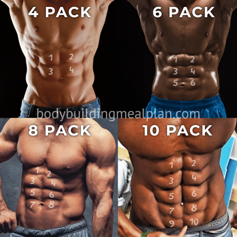 4 Pack Abs Vs 6810 Pack Men And Women Genetics Body Fat Percentage Nutritioneering 