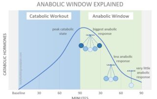 Anabolic Window Cover