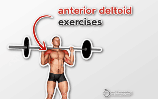 Anterior Deltoid Exercises