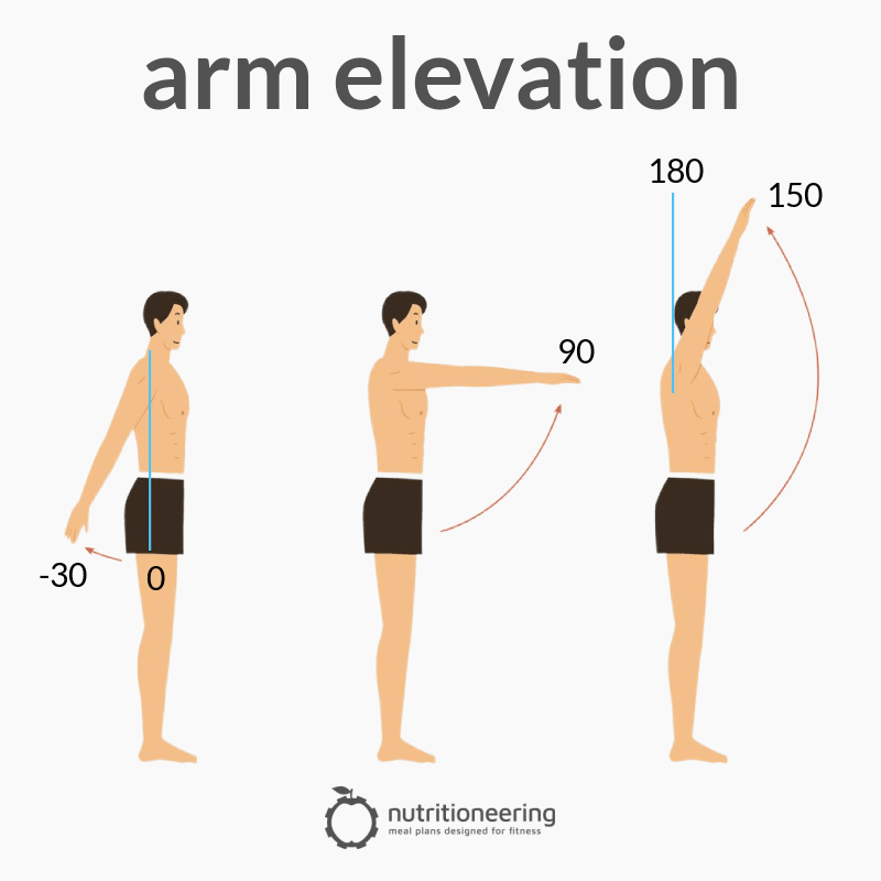 Lateral Head Tricep Exercises Arm Elevation