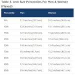 Arm Size Percentiles
