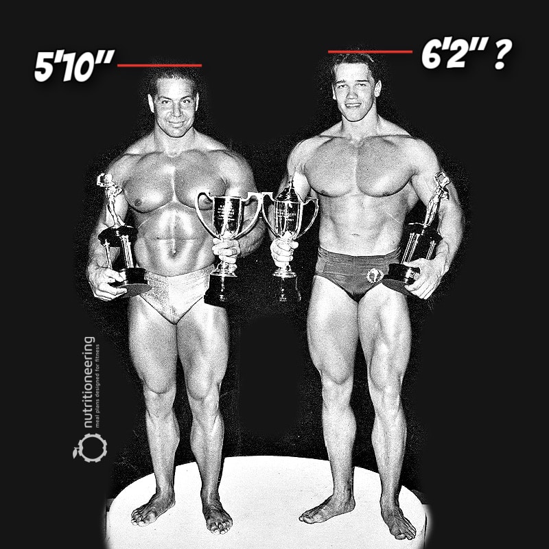Arnold Schwarzenegger Height vs Bill Pearl