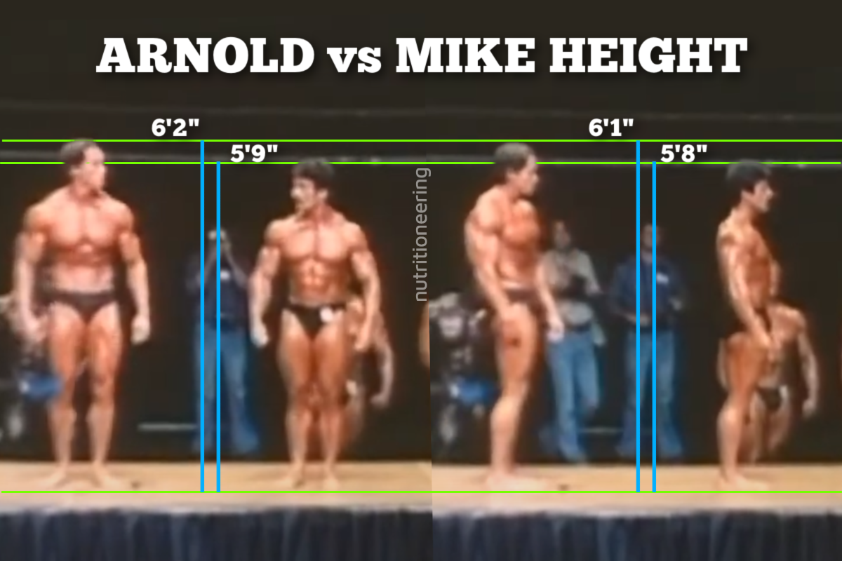 Arnold vs Mike Mentzer Height