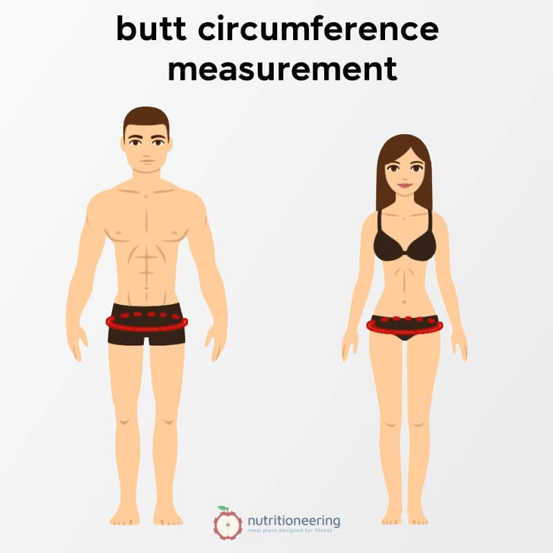 Average Butt Size Measurement