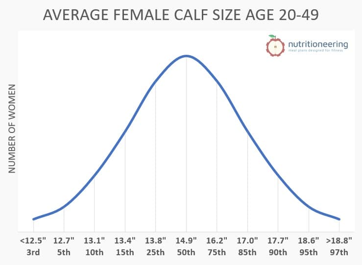 Average Calf Size Female