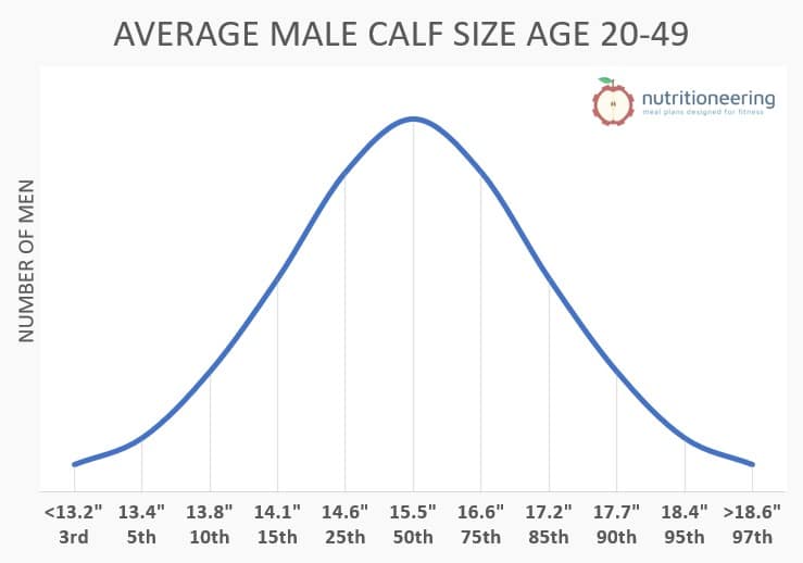 Average Calf Size Male