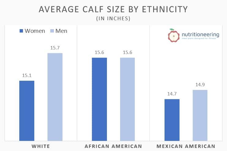 Average Calf Size by Ethnicity