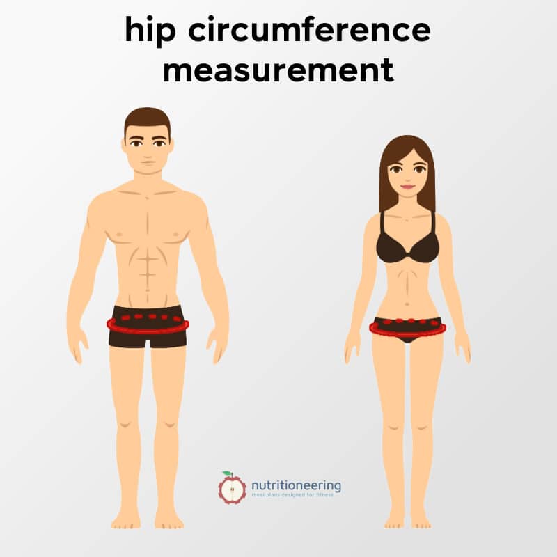 Average Hip Size for Women & Men (with Charts)