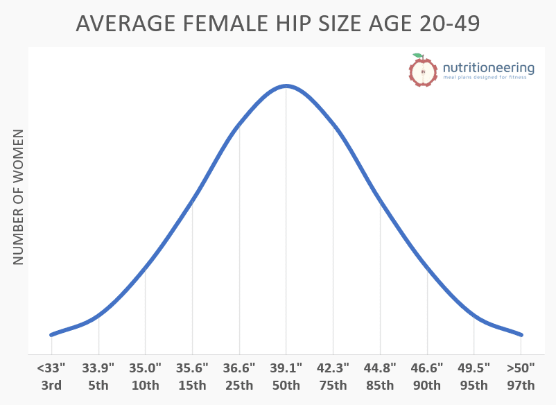 Average Hip Size for Women & Men (with Charts)