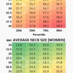 Average Neck Size Men & Women Colored
