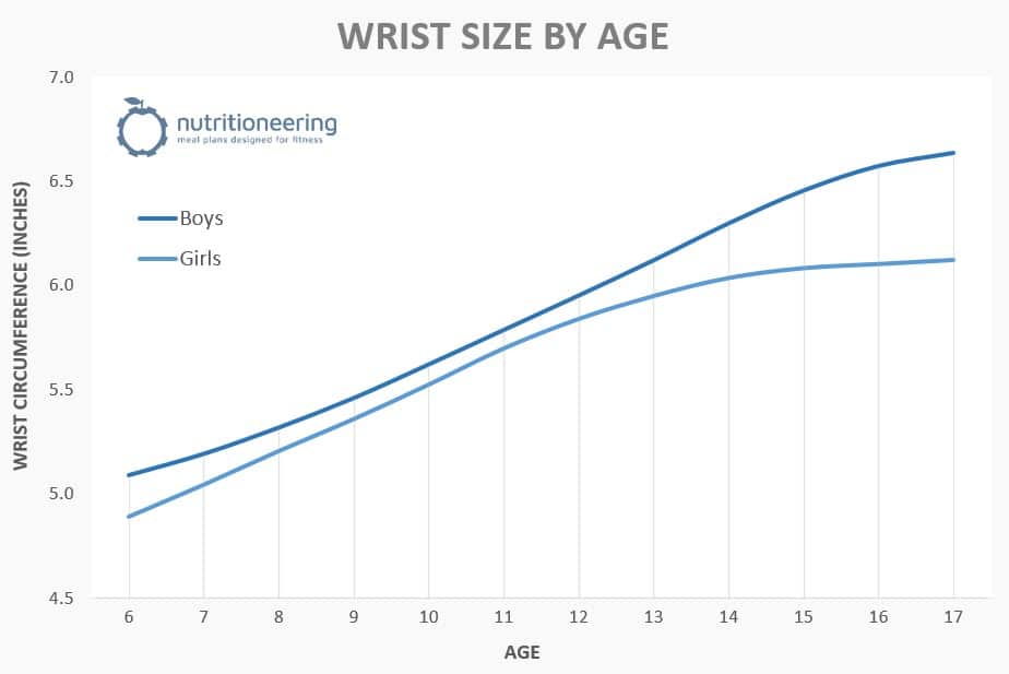 Average Wrist Size by Age