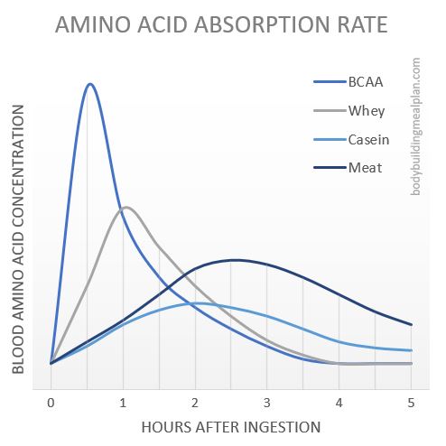 BCAA vs Pre-Workout Amino Acid Absorption Rate
