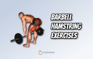 Barbell Hamstring Exercises