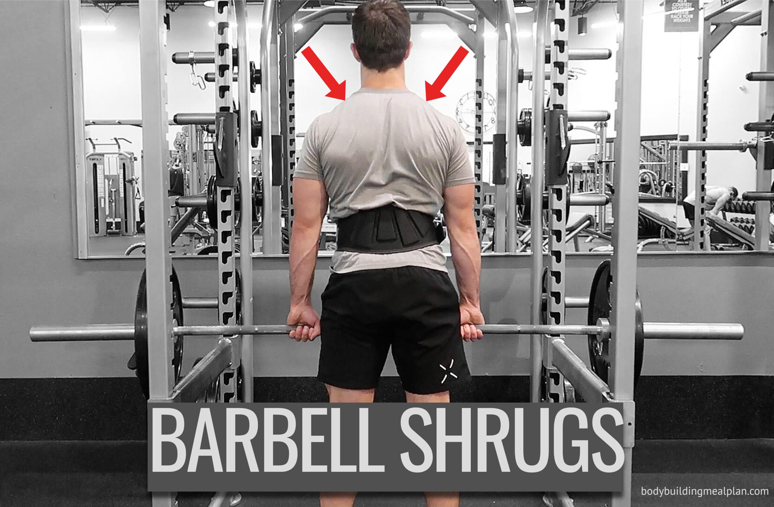 Barbell Shrugs 2