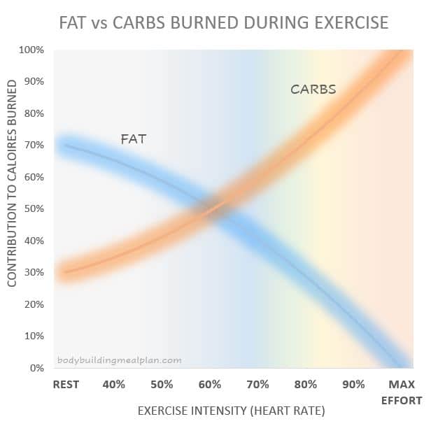 Benefits Of Squats Fat vs Carbs Burned Benefits Of Squats Fat vs Carbs Burned