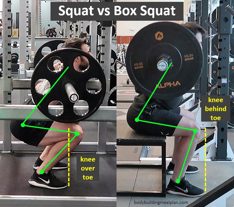 Box Squat vs Squat