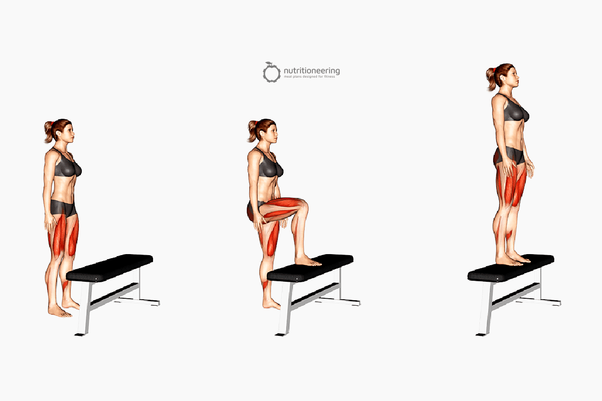 Box Step Up Hip Thrust Alternative Box Step Up Hip Thrust Alternative