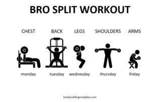 Bro Split Workout