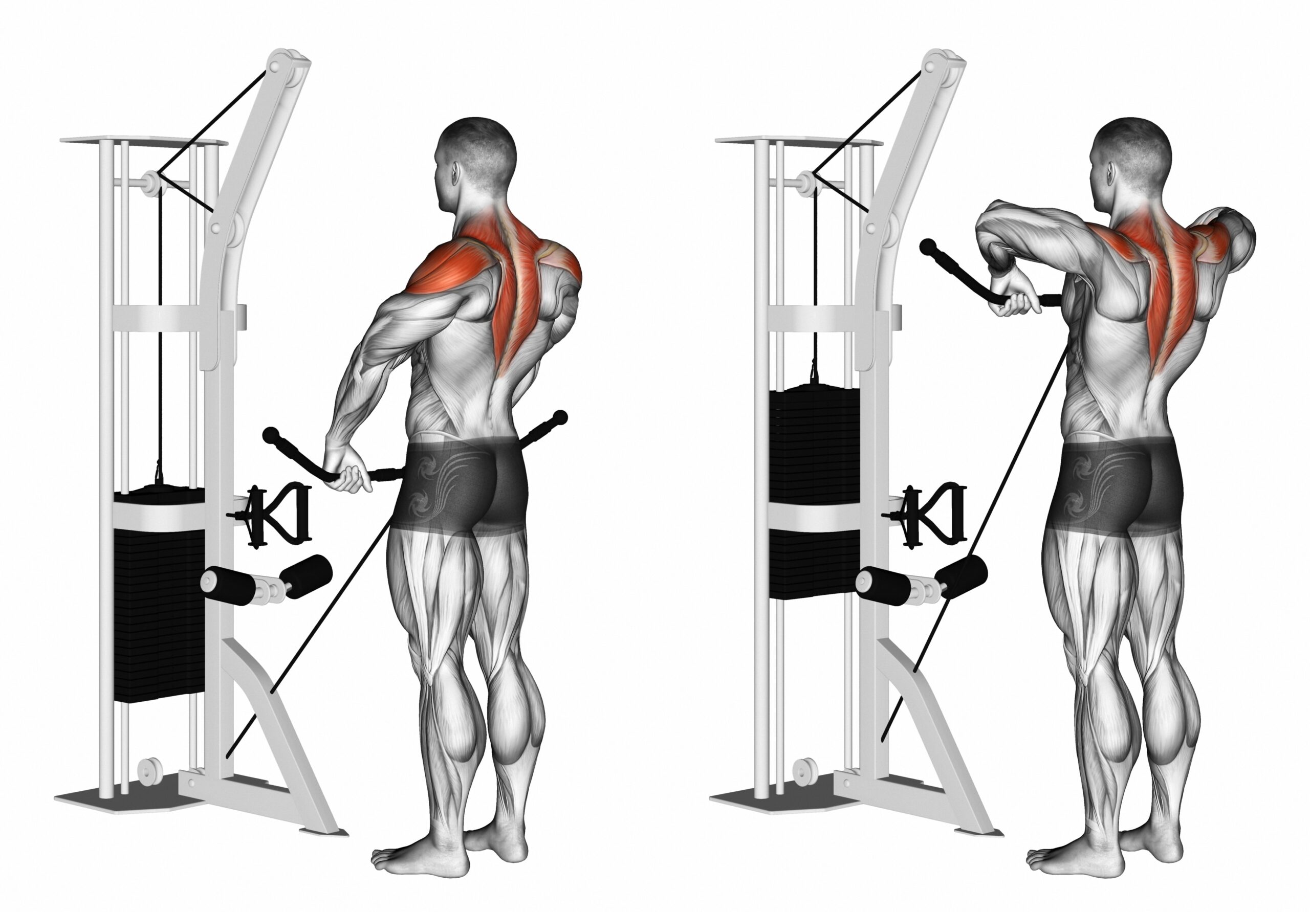 Cable Shoulder Exercises Upright Row