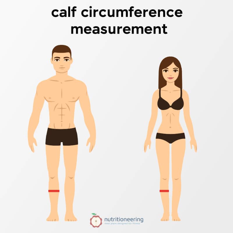 Average Calf Circumference Measurement