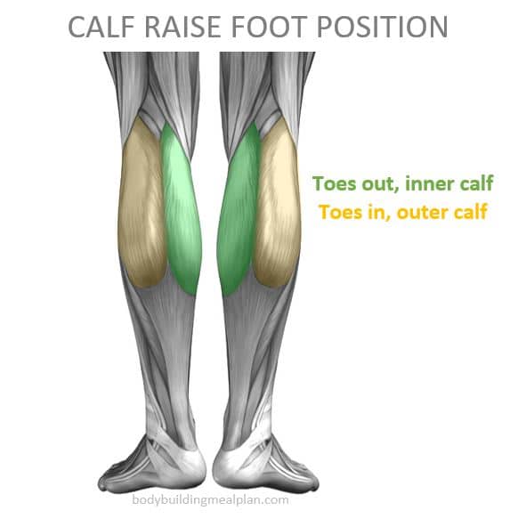 Calf Raise Foot Position