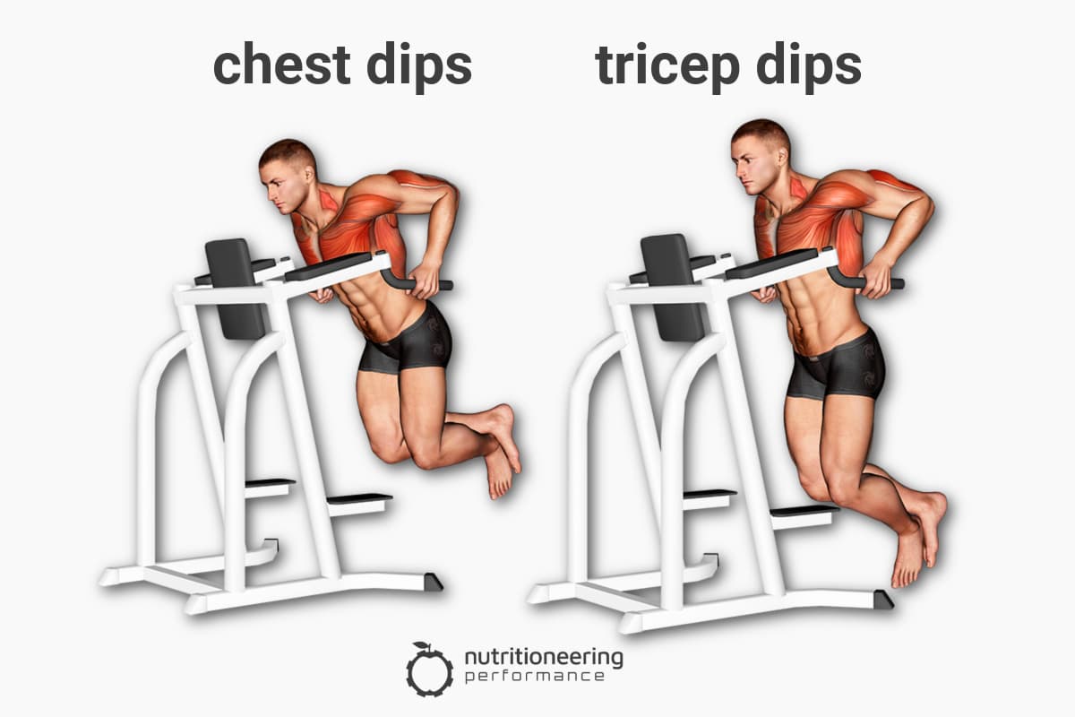 Chest Dips vs Tricep Dips Muscles Worked
