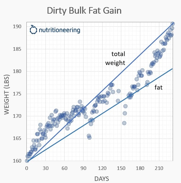 Dirty Bulk Fat Gain