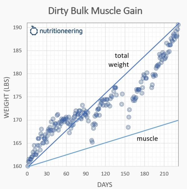 Dirty Bulk vs Clean Bulk Meaning, Foods, Results, & More