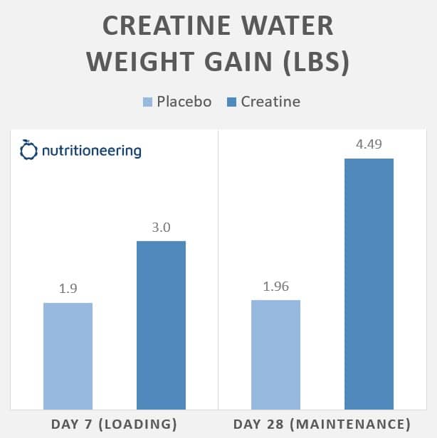 Does Creatine Make You Gain Water Weight