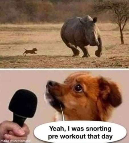 Dog Chasing Rhino Pre Workout Meme