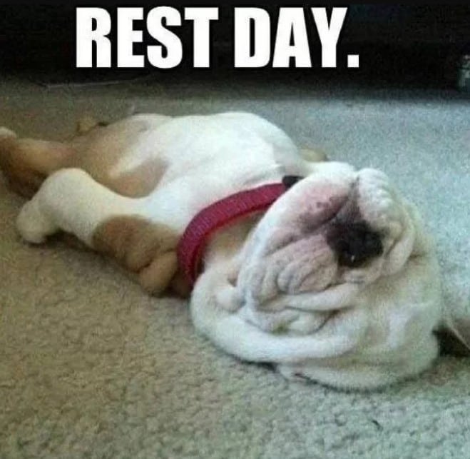 Dog Rest Day Meme