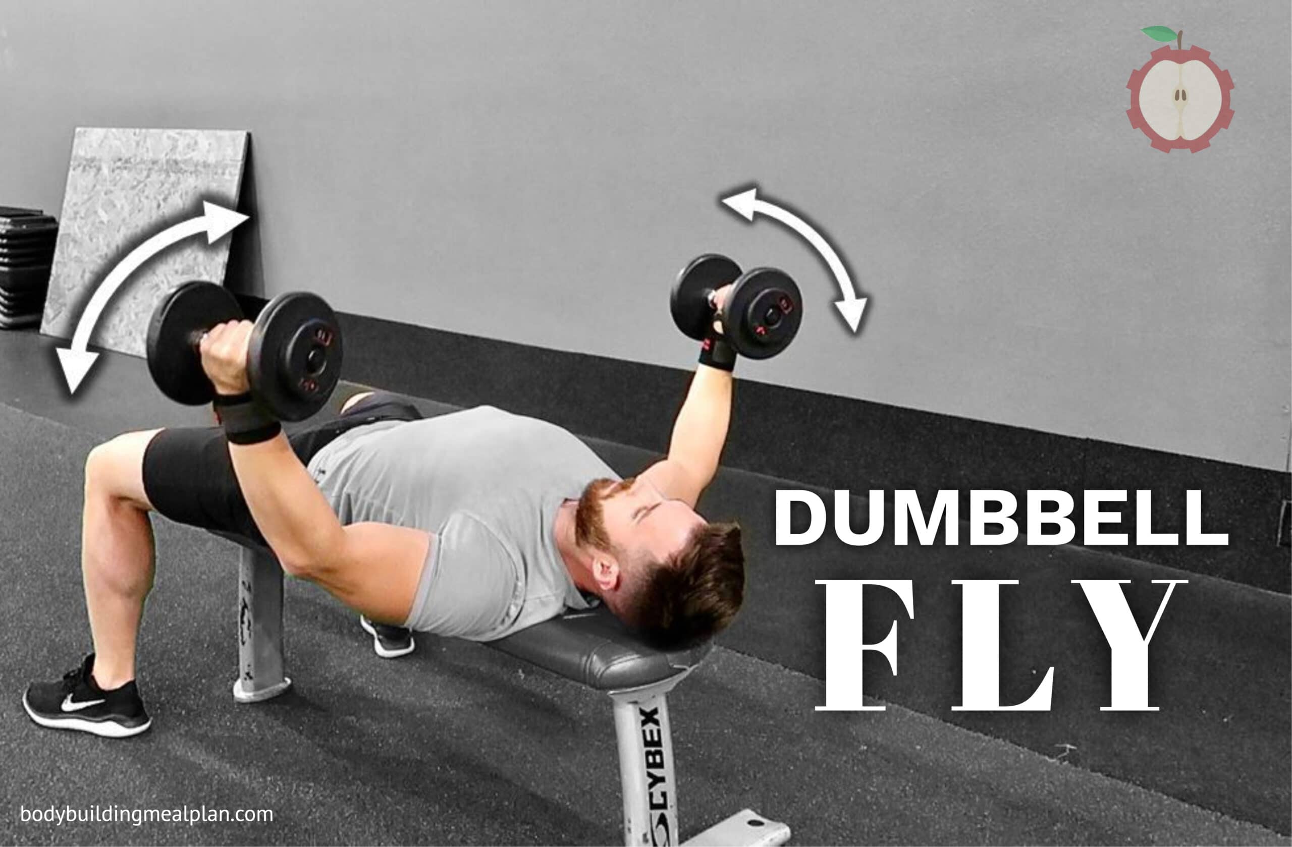 Machine Chest Fly With Dumbbells 