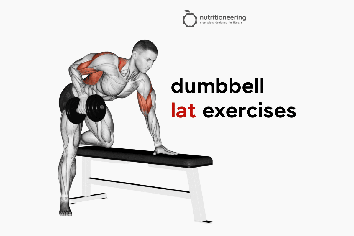lever Accuracy Successful 13 Dumbbell Lat Exercises to Beef Up Your Back Workout | Nutritioneering