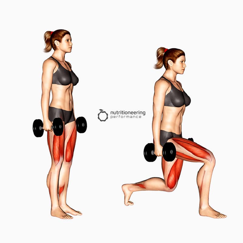Dumbbell Quad Exercises Lunge Dumbbell Quad Exercises Lunge