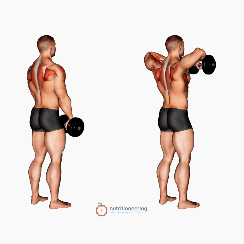 Dumbbell Trap Exercises Upright Row