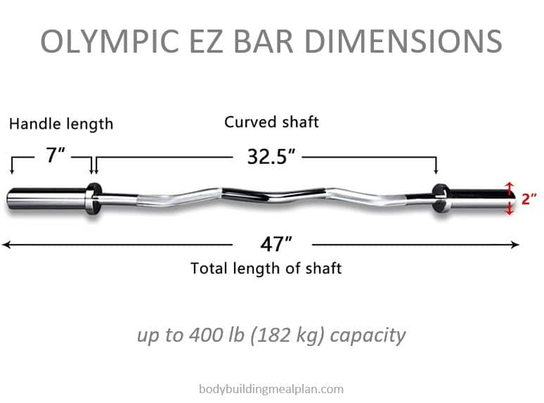 EZ Bar Weight Olympic Dimensions
