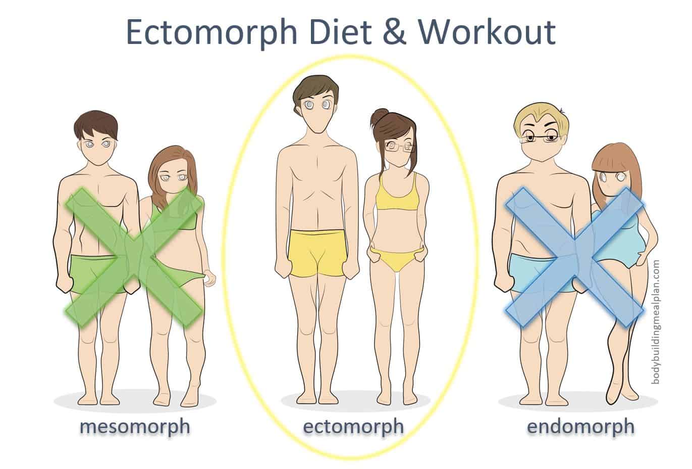 Ectomorph Diet And Workout