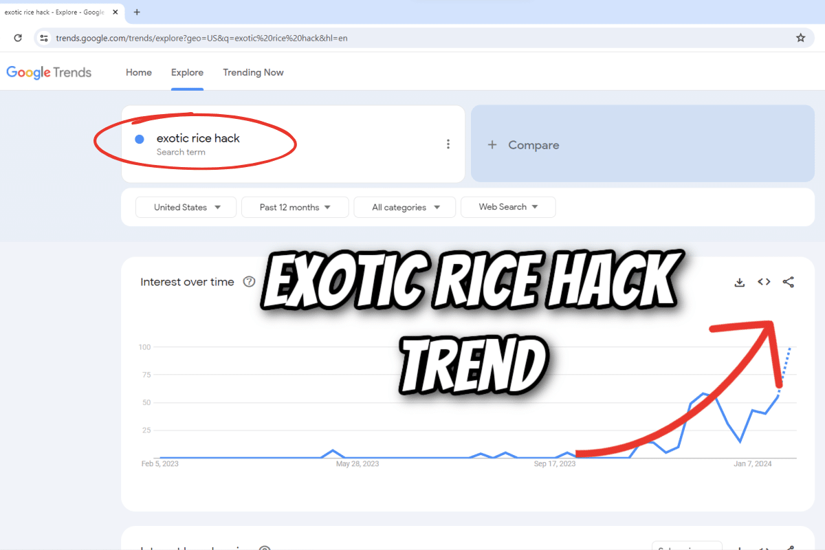 Exotic Rice Hack Trend