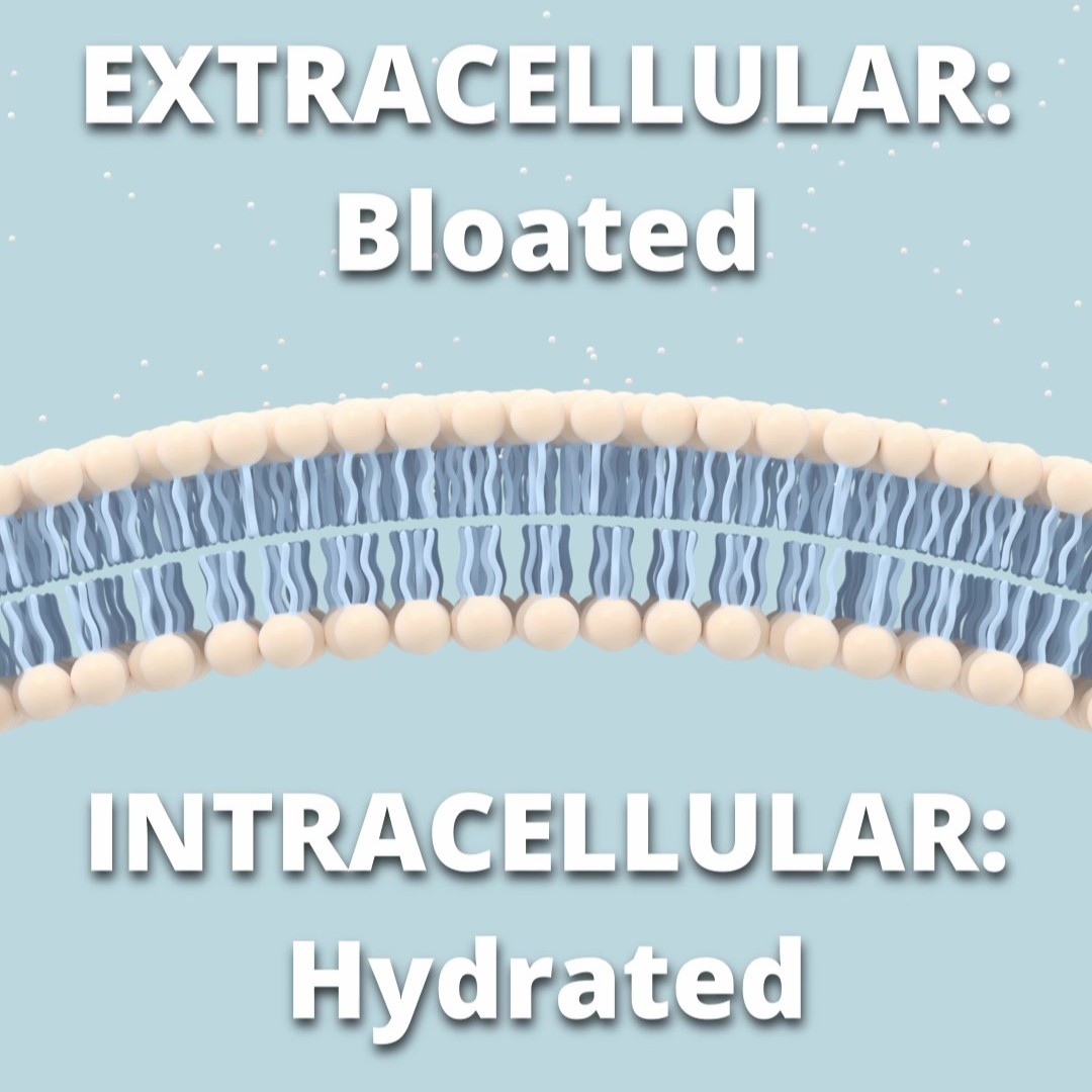 Carb Loading Water Manipulation Carb Loading Water Manipulation