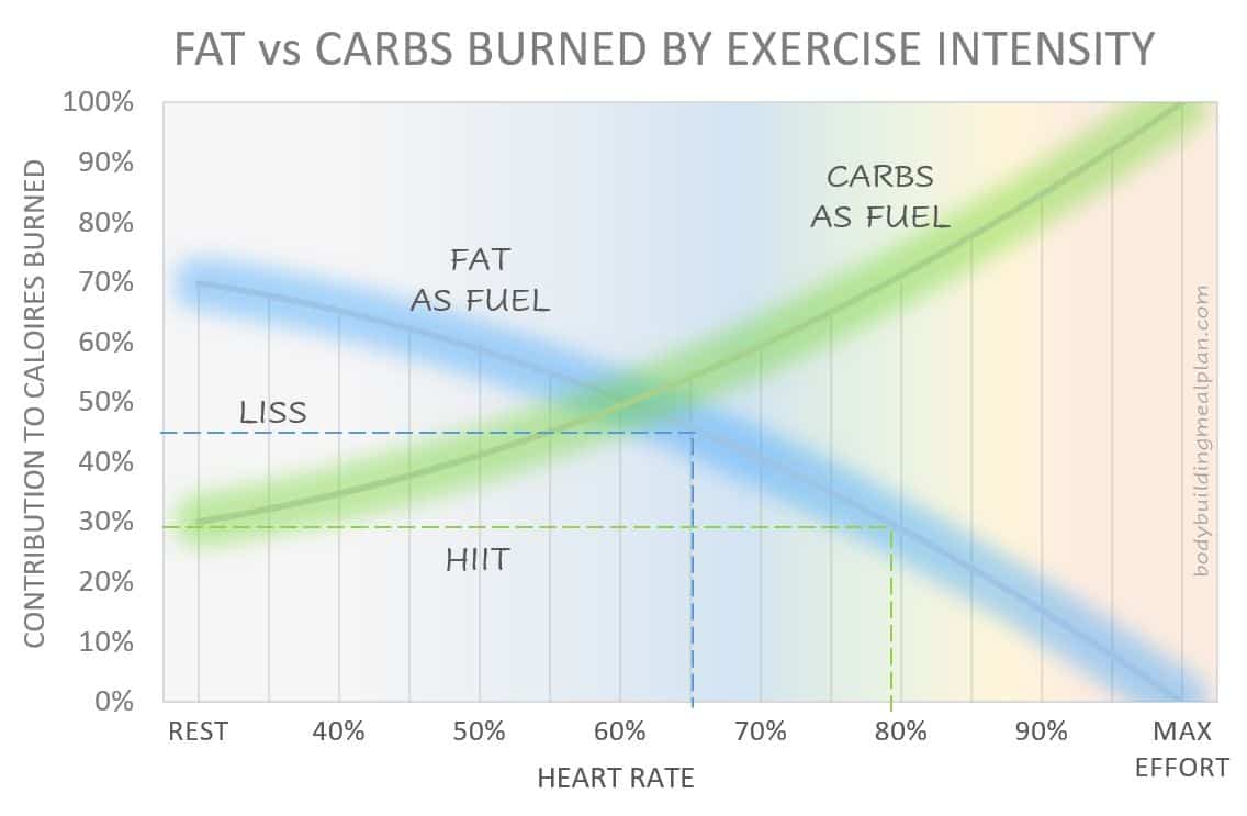 Fat vs Carbs Burned During Exercise