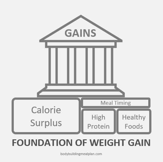 Foundation Of Weight Gain Foundation Of Weight Gain Shake Recipes