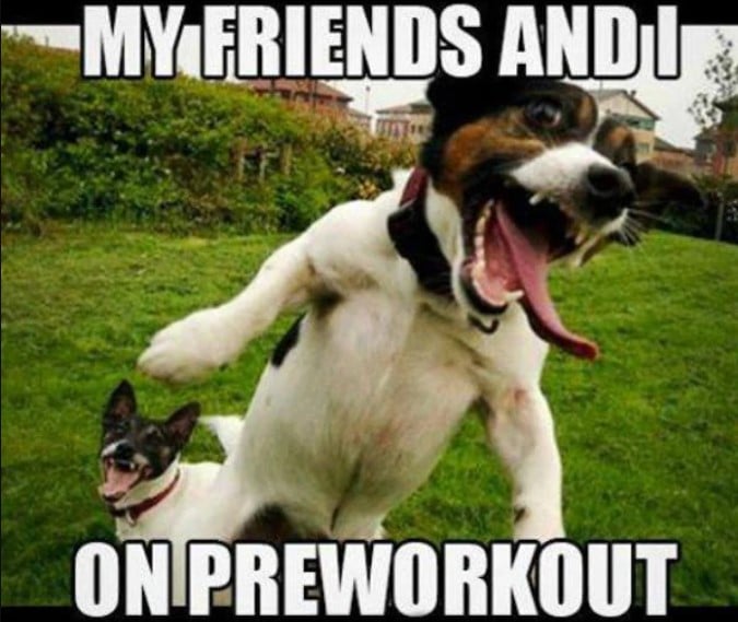 Friends On Pre Workout Meme