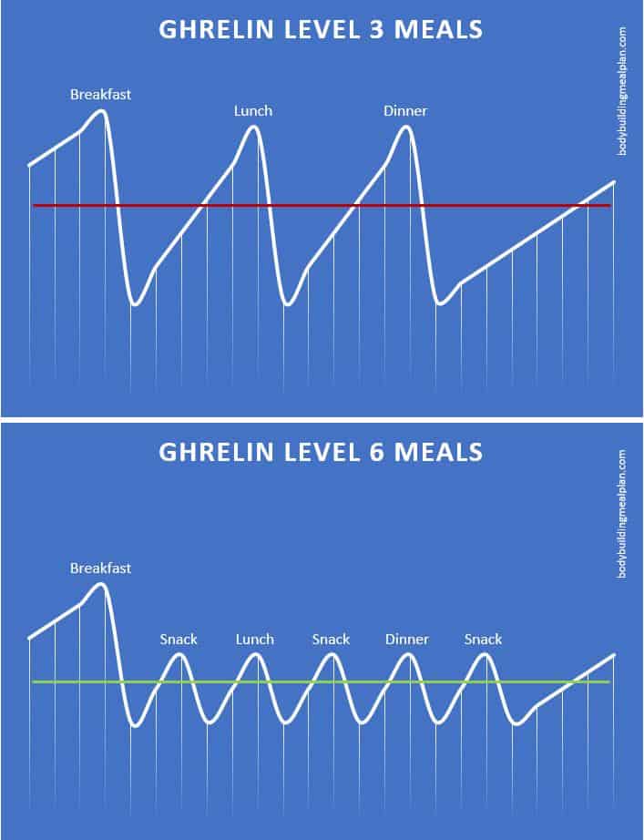 Ghrelin Level By Meal Frequency